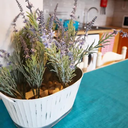 דירה Ph In Monteverde פרנאו פרו