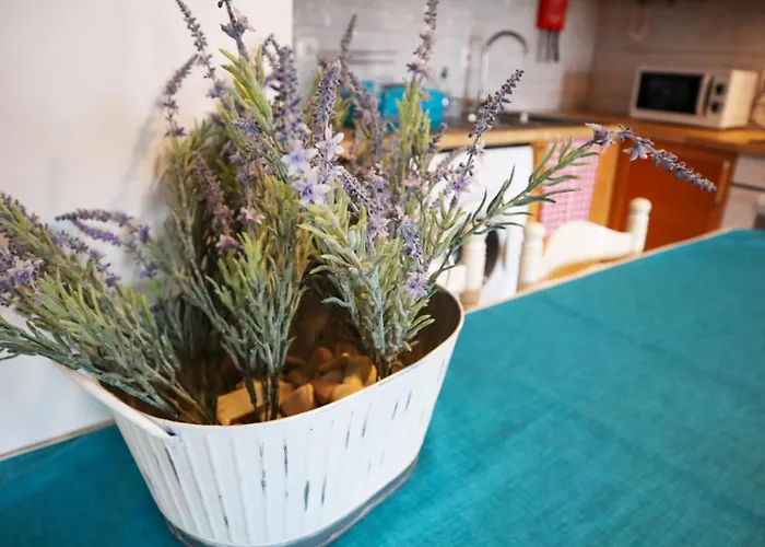 Apartment Ph In Monteverde Fernão Ferro